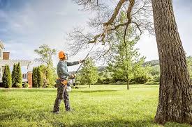 Best Seasonal Cleanup (Spring/Fall)  in Marathon, FL